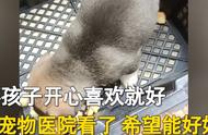 儿子在网上花了188元购买金毛犬，女子打开箱子后惊讶不已：感觉被欺骗了