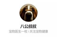 3秒内分辨可卡犬和查理王小猎犬：知识分享