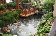 庭院别墅如何打造完美假山鱼池