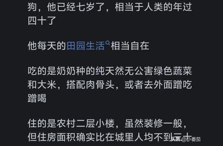 宠物是否过上了主人梦寐以求的生活？