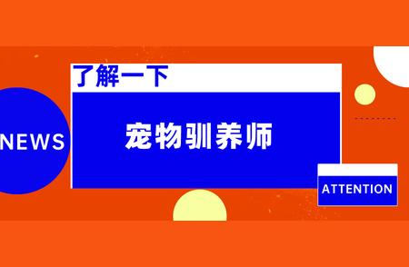 宠物驯养师证全解析：考取指南、报考时间、要求及难度评估