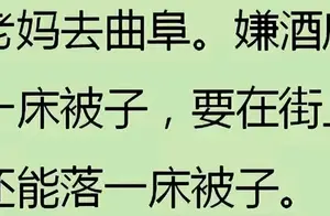 你不愿和父母出游的原因找到了吗？这些故事你绝对想不到！