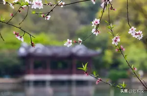 追寻不同的晚年旅程：寻找合适的旅行搭子