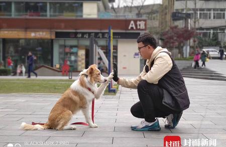 90后转行：成为专业犬类行为调整师的探索之路