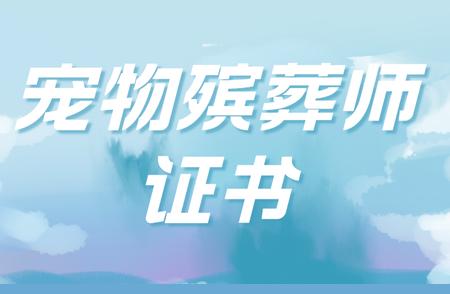 宠物殡葬师证书考取全攻略：流程、资料一网打尽！