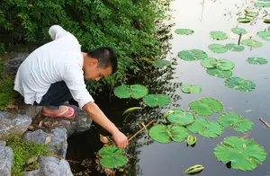 揭秘！老大爷意外钓到巨型黄鳝的背后故事