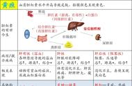 兽医临床诊断学：第十一章深度解析