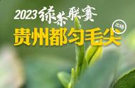 2023绿茶联赛：都匀毛尖的全新亮相