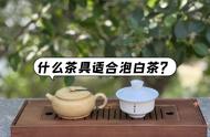 盖碗、紫砂壶、玻璃杯：泡白茶的最佳选择？