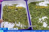 一斤龙井茶售价高达3万多元？同一产地的价格差异竟然如此巨大！