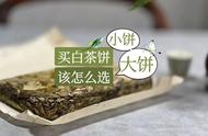 白茶饼选购指南：大饼与小饼的权衡