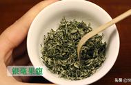 碧螺春第一泡茶真的可以喝吗？看完这篇文章你就明白了