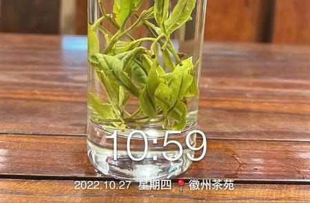 探寻清香之源：哪种茶叶最清香？