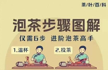 泡茶达人秘诀：六步让你轻松掌握泡茶技巧