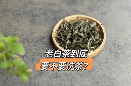 老白茶新风尚：为何越来越多的人选择不洗茶？