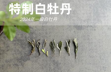 白茶知识大揭秘：揭开误区面纱