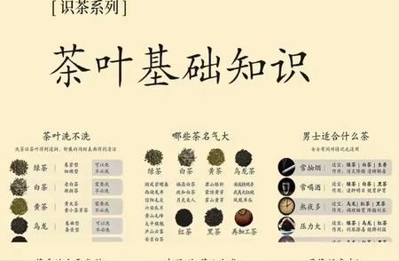 茶道之源：带你了解最全面的茶叶基础知识。