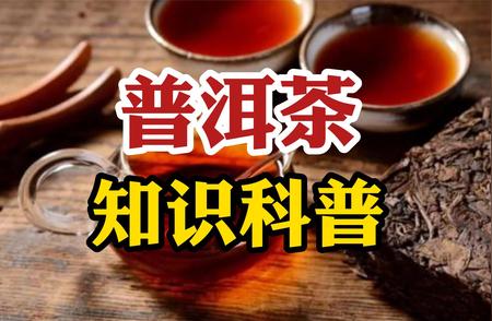 初学者必读：普洱茶知识入门指南