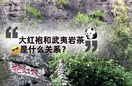 揭秘大红袍与武夷岩茶的不解之缘