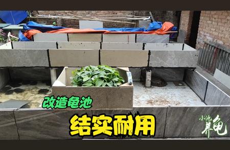 低成本建龟池：瓷砖与冬眠乌龟的完美结合