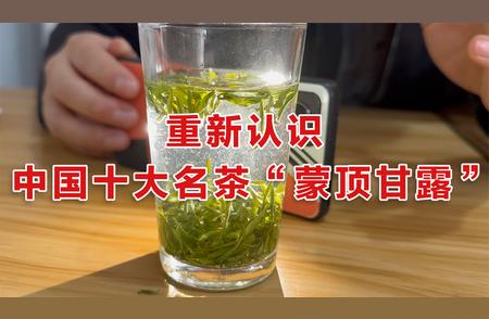 蒙顶甘露：被低估的中国名茶之旅