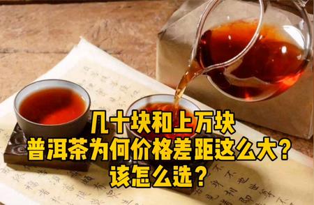 普洱茶价格大揭秘：为什么价格差异如此之大？