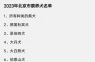 2023年北京禁养犬种揭秘：金毛、拉布拉多能否饲养？