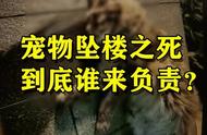 价值23万的缅甸猫不幸坠楼，保姆质疑：人能否控制动物？