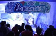 上海海昌海洋公园企鹅幼稚园开园，与新生阿德利企鹅共迎新年